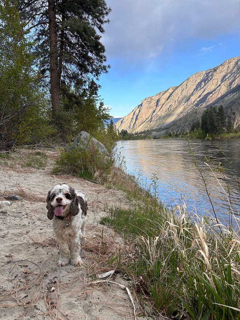 Canadian mountains and river